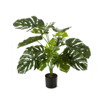 Nieuwkoop Monstera Deliciosa 85 cm…