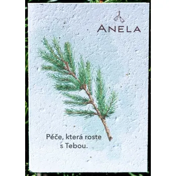 Anela Vánoční dárkové přání: Péče, která roste s Tebou