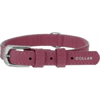 Obojek pro psa Kožený obojek pro psa klasický Collar vel. XS