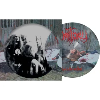 Zahraniční hudba VOMITORY – RAPED IN THEIR OWN BLOOD / PICTURE VINYL / LTD. 500 KS