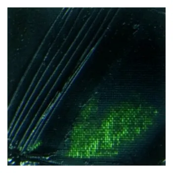 Olejová barva Olejová barva Pébéo XL 200ml – 17 sap green