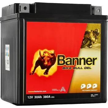 Motobaterie Banner GEL 530 01