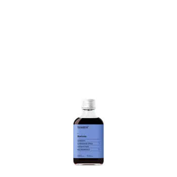 Sirup Sirupárna Borůvkový sirup Objem: 0.1 L