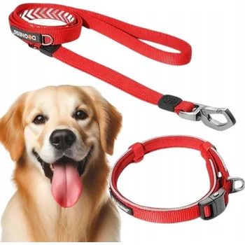 Obojek pro psa Reflexní sada: obojek 35 - 49 cm (M) + vodítko se dvěma úchyty (M/L) DOGNESS