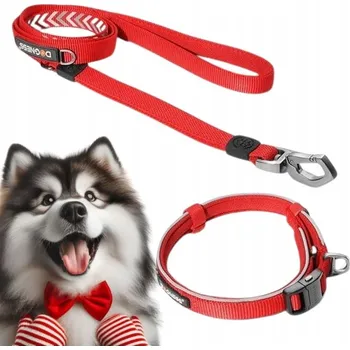 Obojek pro psa Reflexní sada: obojek 45 - 60 cm (L) + vodítko se dvěma úchyty (M/L) DOGNESS