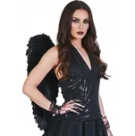 Křídla černá upír gotik 70 x 65 cm