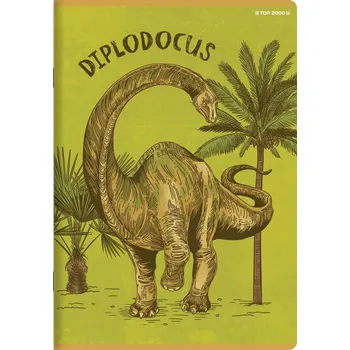 Sešit Sešit A5 s linkami (mřížka) TOP-2000, 32 listů