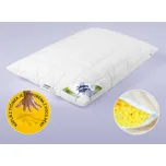 Anatomický polštář Dream Visco 70 x 90…