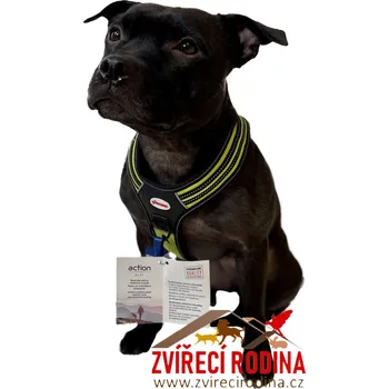 Postroj pro psa Alpi postroj Record neon. žlutý S