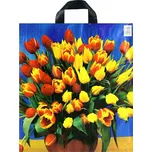 Taška igelitová s potiskem s páskovým…