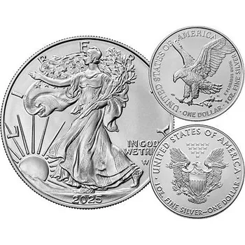 Sběratelství Stříbrná mince 1 USD American Eagle 1 Oz