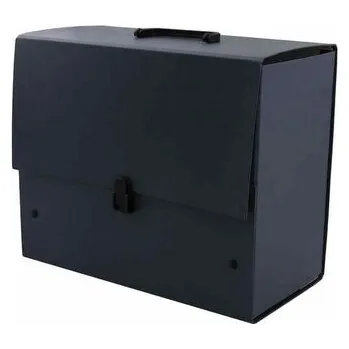 Archivační box Teczka z rączką Gigant B4+ ganat., Tadeo