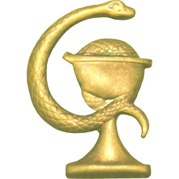 Odznak rozlišovací ČSLA/AČR ZDRAVOTNÍK zlatý