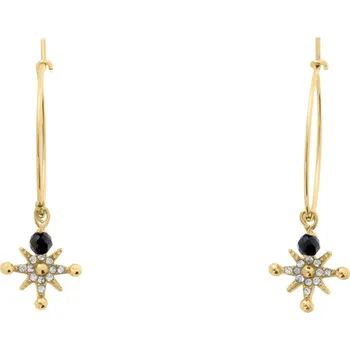 Módní doplněk Pierre Lannier Pozlacené kruhové náušnice s přívěsky Australe BJ22A2231 + 2 měsíce na vrácení zboží