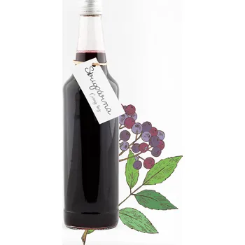 Sirup Sirupárna Černý bez sirup Objem: 0.1 L