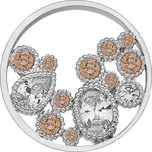 Hot Diamonds Přívěsek Hot Diamonds Emozioni Spirito Libero Freedom Champagne Coin 2,5 cm + 2 měsíce na vrácení zboží