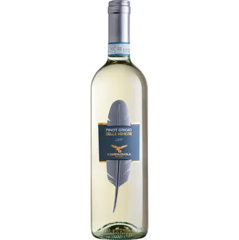 Víno Giuseppe Campagnola Pinot Grigio DOC Delle Venezie 2024
