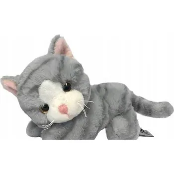 Obraz Kočka Miranda, šedá