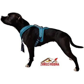 Postroj pro psa Alpi postroj Record modrý S