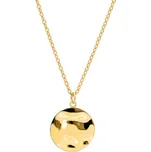 Pierre Lannier Stylový pozlacený náhrdelník Echo BJ10A4201 + 2 měsíce na vrácení zboží