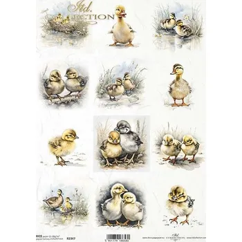 Umělecký papír Rýžový papír na decoupage ITD - Kachny, káčata - R2347