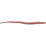10ks - Imitace Červa Berkley Gulp! Sandworm 15 cm Saltwater Dark Brown