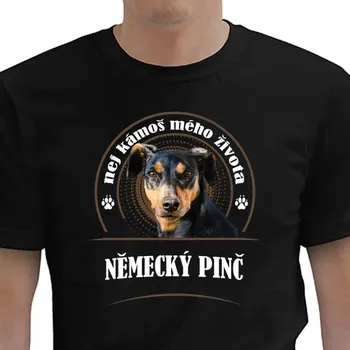 Pánské oblečení Pánské tričko s kulatý výstřihem STRIKER, velikost 3XL