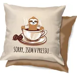 Nekupto Vtipný polštář 30 x 30 cm