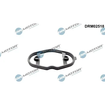 Těsnění motoru Těsnění, palivové čerpadlo Dr.Motor Automotive DRM02518