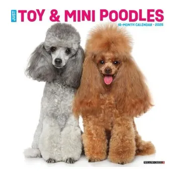 Kalendář Toy & Miniature Poodles 2026 12 X 12 Wall Calendar (EN)