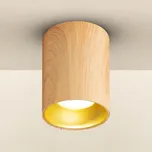 Brilagi - LED RGBW Stmív. bodové svítidlo TRINE 1xGU10/30W/230V dekor dubu