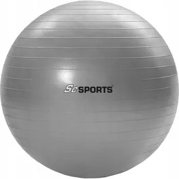 Gymnastický míč Gymnastický míč ScSPORTS s ruční pumpičkou šedý