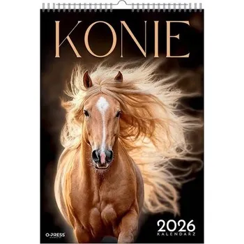Kalendář Nástěnný kalendář A3 Koně 2026