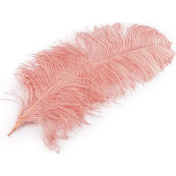 Pštrosí peří délka 50-55 cm Varianta: 7 korálová světlá, Balení: 1 ks