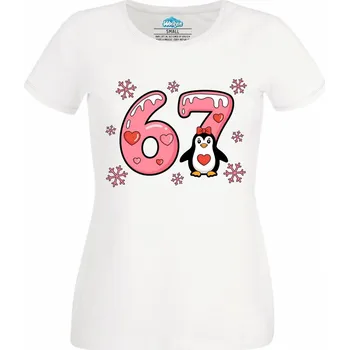 Dámské tričko Dámské tričko Zimní Tučňák 67 Six Seven Meme (Velikost: 4XL, Barva: Bílá)