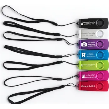 USB flash disk USB flash disk DS Electronics 2GB USB 2.0 černý