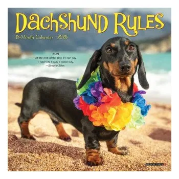 Kalendář Dachshund Rules 2026 7 X 7 Mini Wall Calendar (Kalendář)