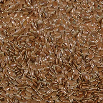 Lněné semínko - Lini semen