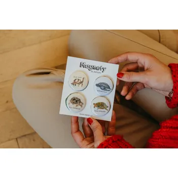 Dekorativní magnet ePiPí Sada magnetů - Želvy