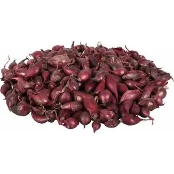 Semeno Sazečka cibule červená - Karmen 250 g