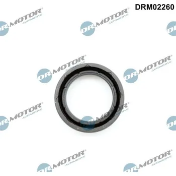 Těsnění motoru Těsnicí kroužek, svíčka DR.MOTOR DRM02260