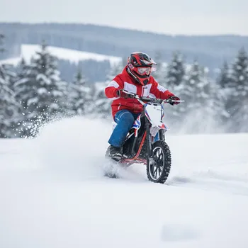 malá motorka Leramotors Minicross Leramotors Devil Deluxe 800W/36V Červená