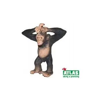 Figurka A - Šimpanz 6 cm