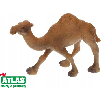 B - Figurka Velbloud jednohrbý 11 cm