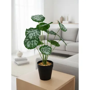 umělá květina Sinsay - Dekorativní rostlina v květináči - zelená - 570HD-77X - 570HD-77X-ONE