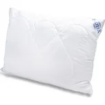 Brotex Aloe Vera 70 x 90 cm 700 g