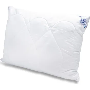 Polštář Brotex Aloe Vera 70 x 90 cm 700 g