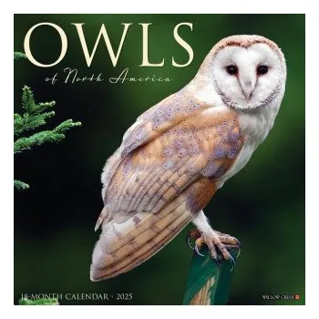 Kalendář Owls 2026 12 X 12 Wall Calendar (Kalendář)