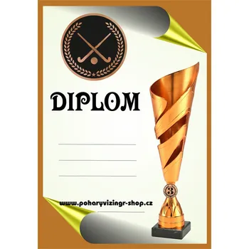 VIZINGR Pozemní hokej diplom A4 č.6