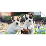Carbotex • Bavlněná plážová osuška Jack Russell Teriér - 100% bavlna - 70 x 140 cm